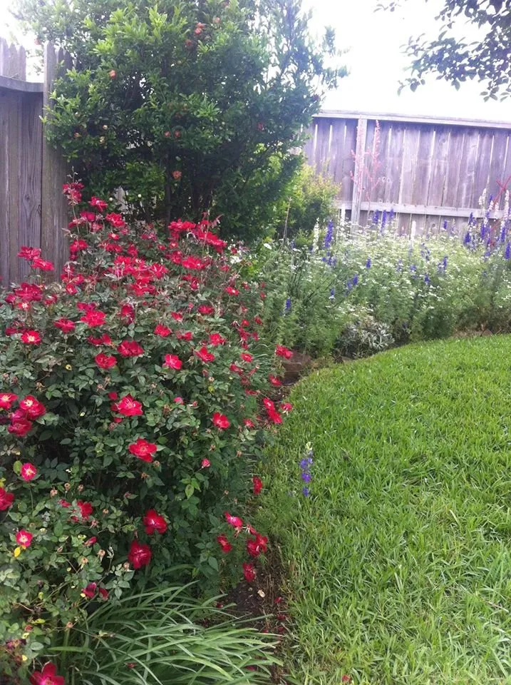 Affordable landscape design experts serving Richmond, TX - Organoscapes