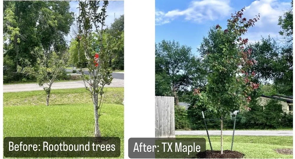 Reliable landscape installation for homes in Richmond, TX by Organoscapes