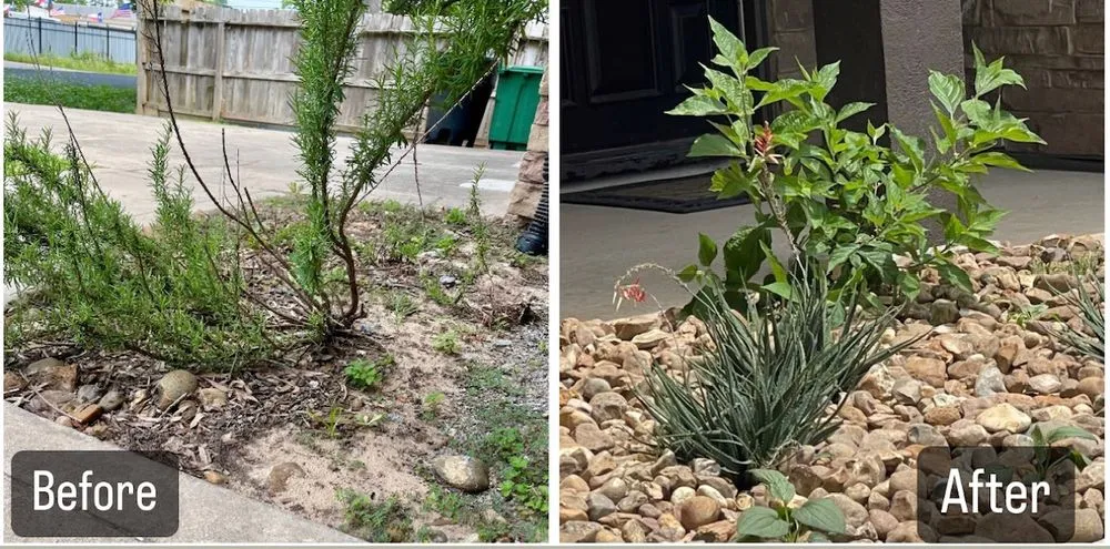 Expert lawn mowing service in Richmond, TX by Organoscapes