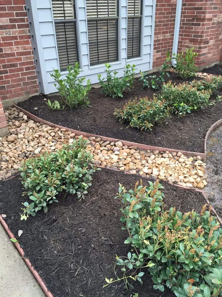 Expert landscaping services in Richmond, TX by Organoscapes