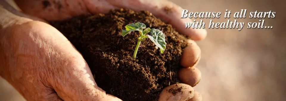 Reliable garden landscaping for homes in Richmond, TX by Orglawn