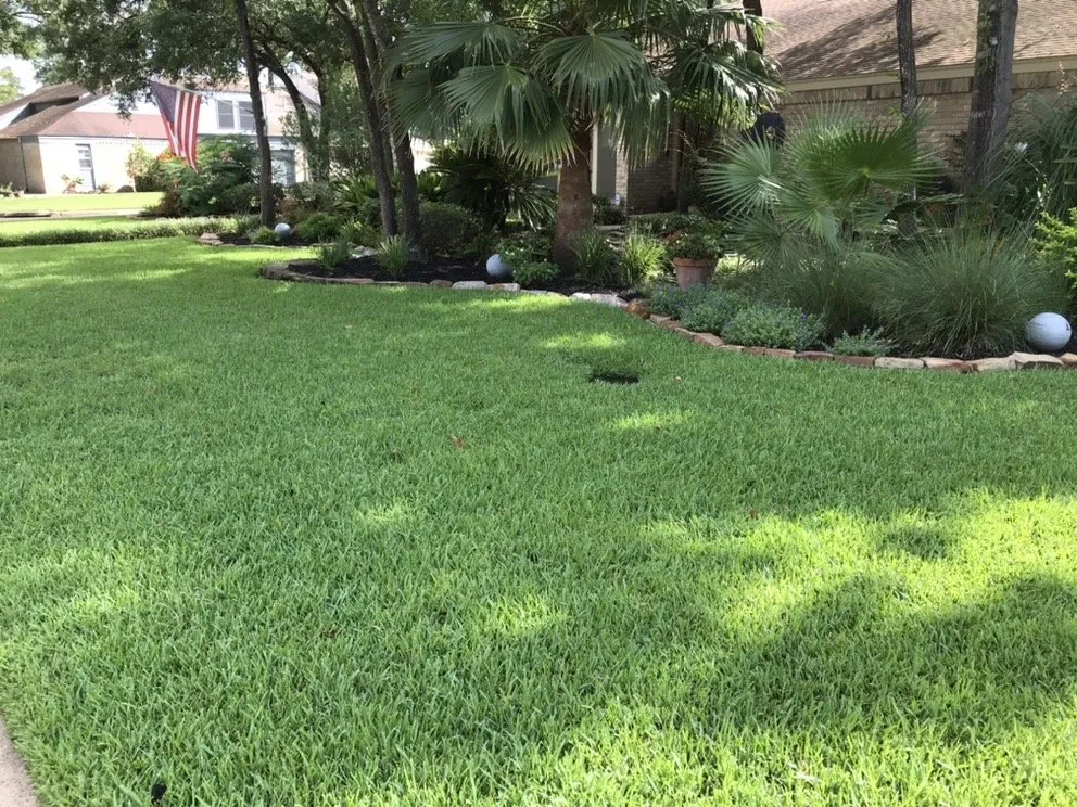 Custom lawn care service in Richmond, TX - Orglawn