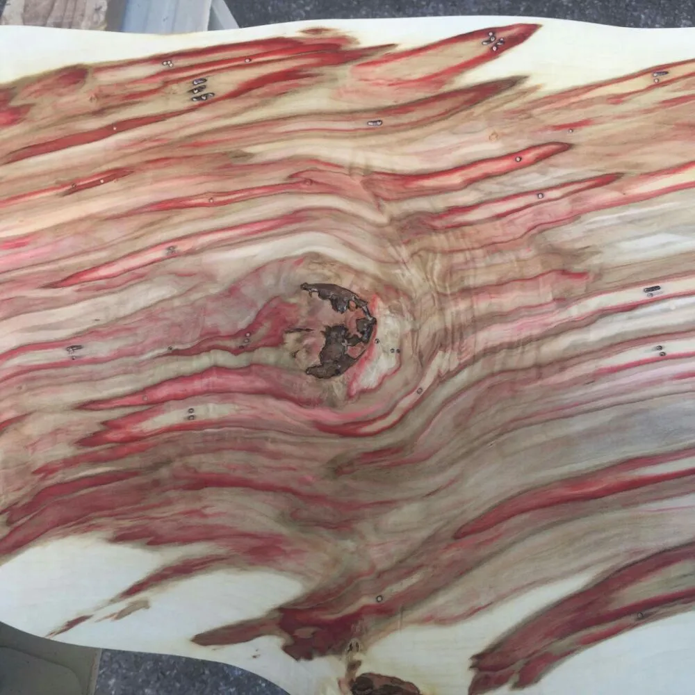 Top-rated landscape installation near you in Aston, PA by OrgoLawn