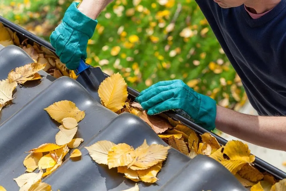 Top-rated yard cleanup service experts serving Albany, NY - Orica Property Services