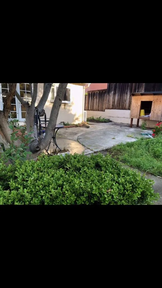 Affordable yard maintenance in Hayward, CA - Oriental Landscaping