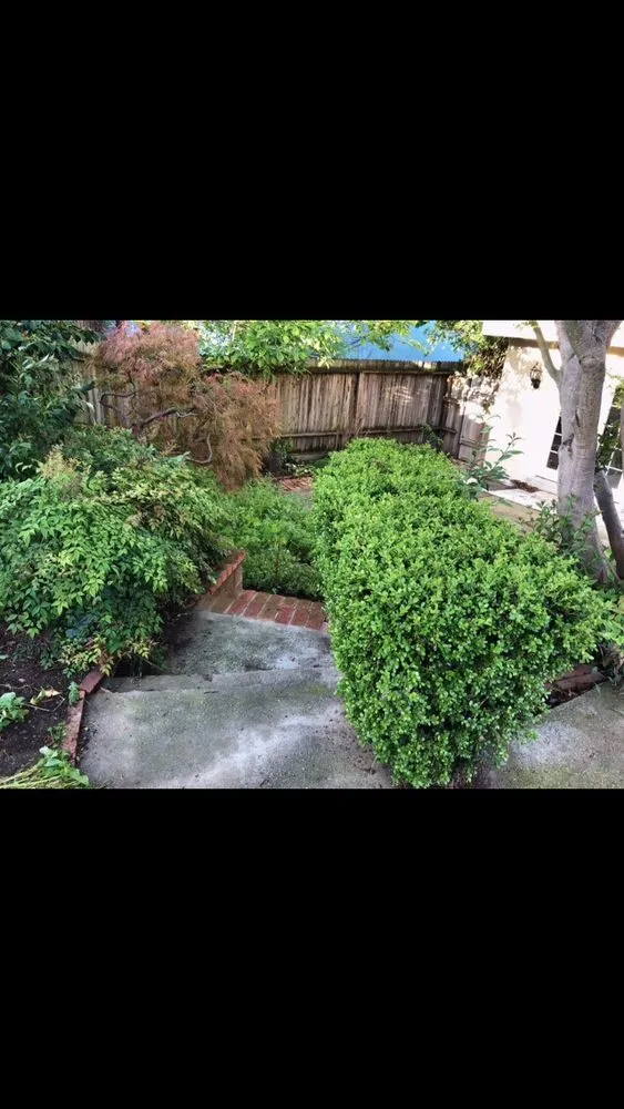 Professional yard cleanup service with custom design across Hayward, CA - Oriental Landscaping