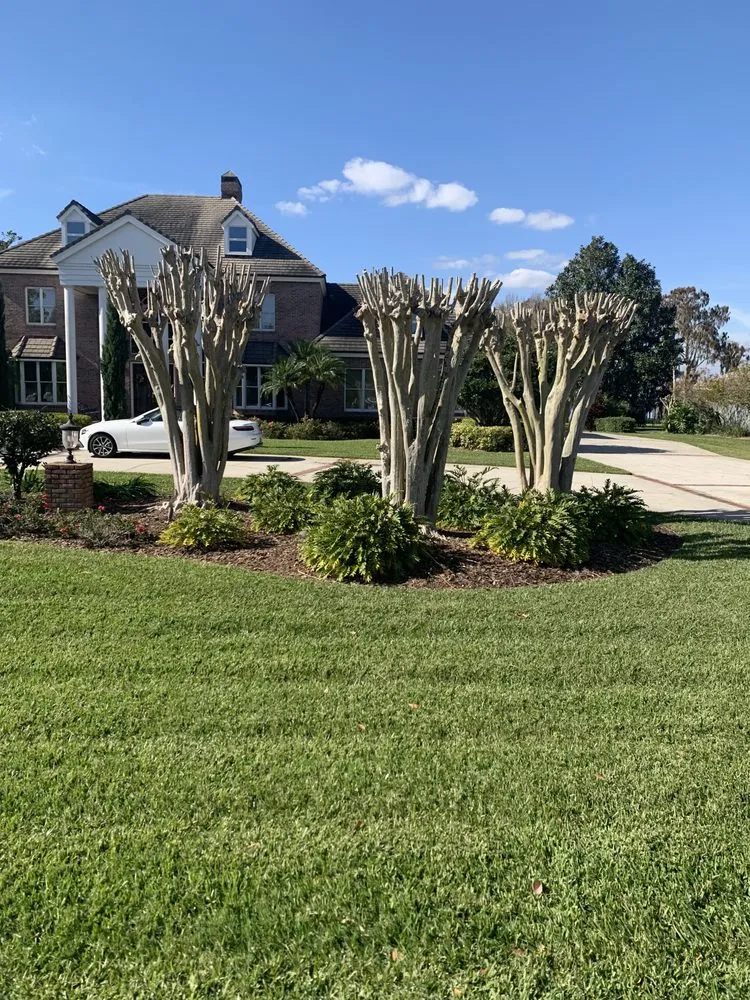Affordable garden landscaping with custom design in Winter Haven, FL by Origin Environmental