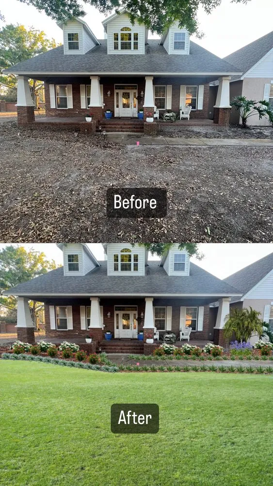 Trusted yard cleanup service in Winter Haven, FL by Origin Environmental