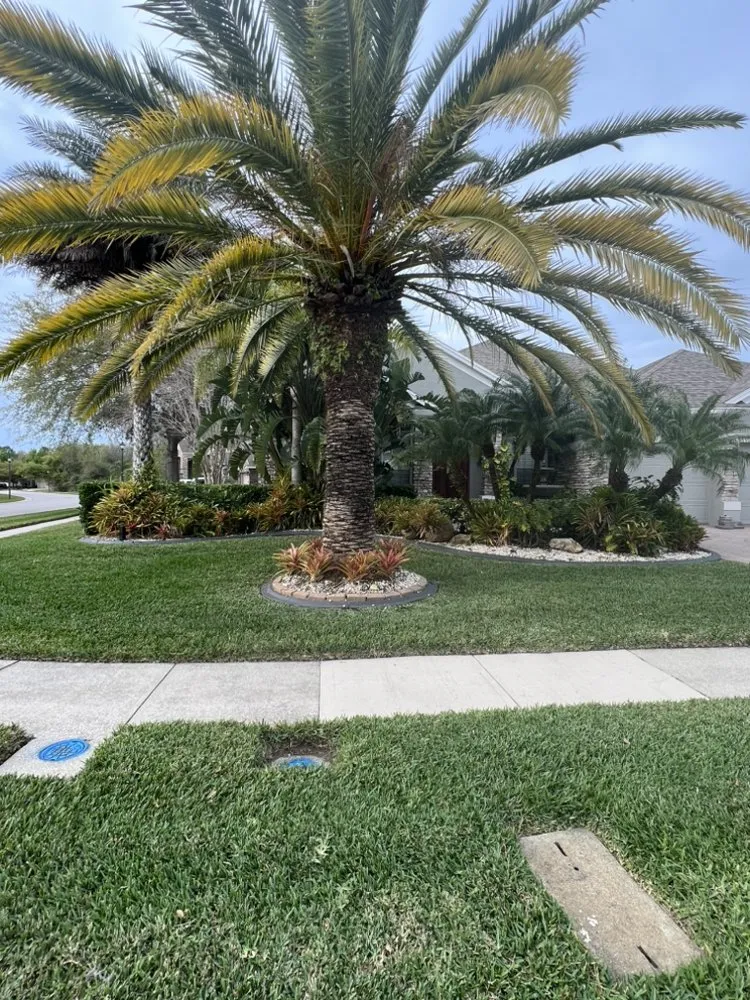 Trusted landscape design in Winter Haven, FL - Origin Environmental
