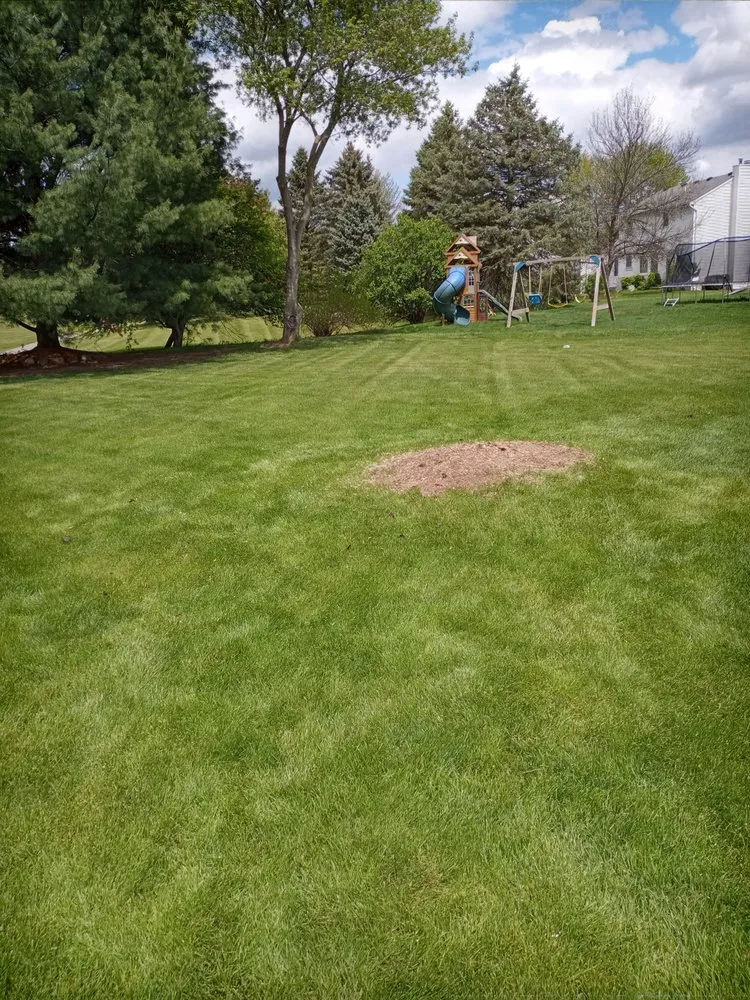 Top-rated landscape installation in Milford, MI - Original D&L Tree Service