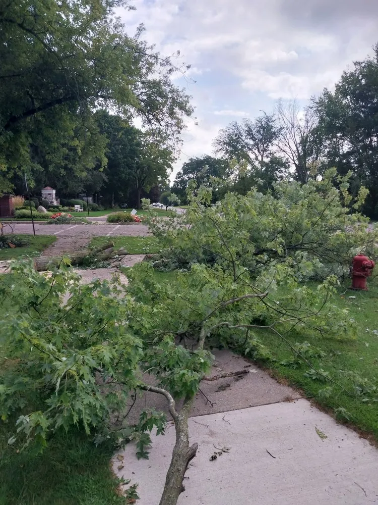 Custom yard maintenance experts serving Milford, MI - Original D&L Tree Service