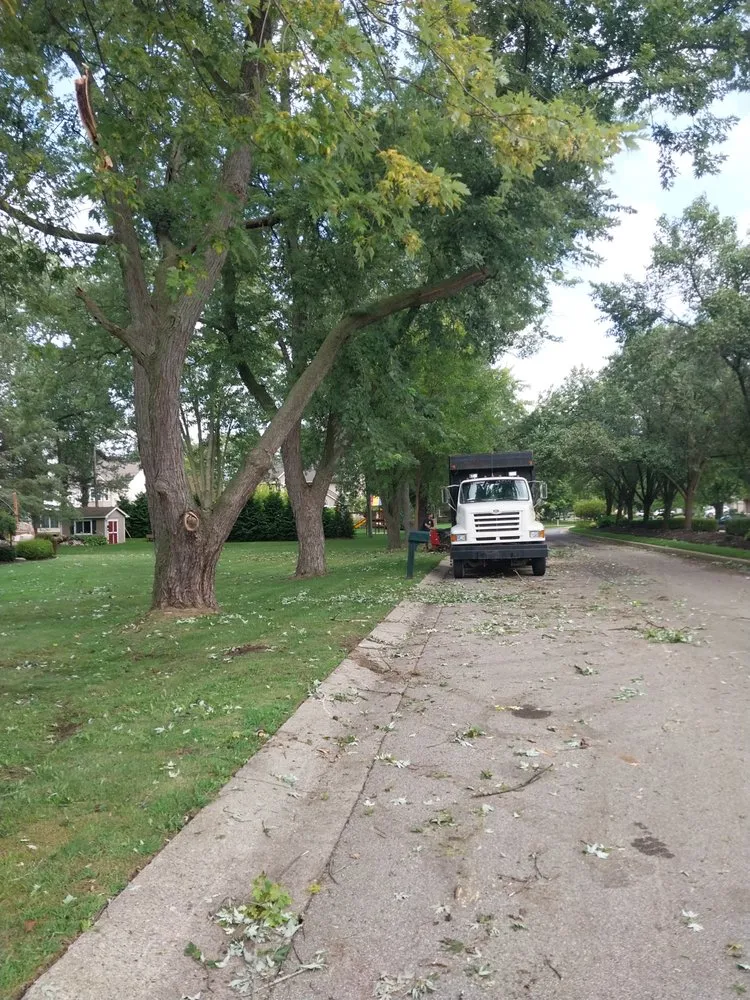 Top-rated outdoor landscaping experts serving Milford, MI - Original D&L Tree Service