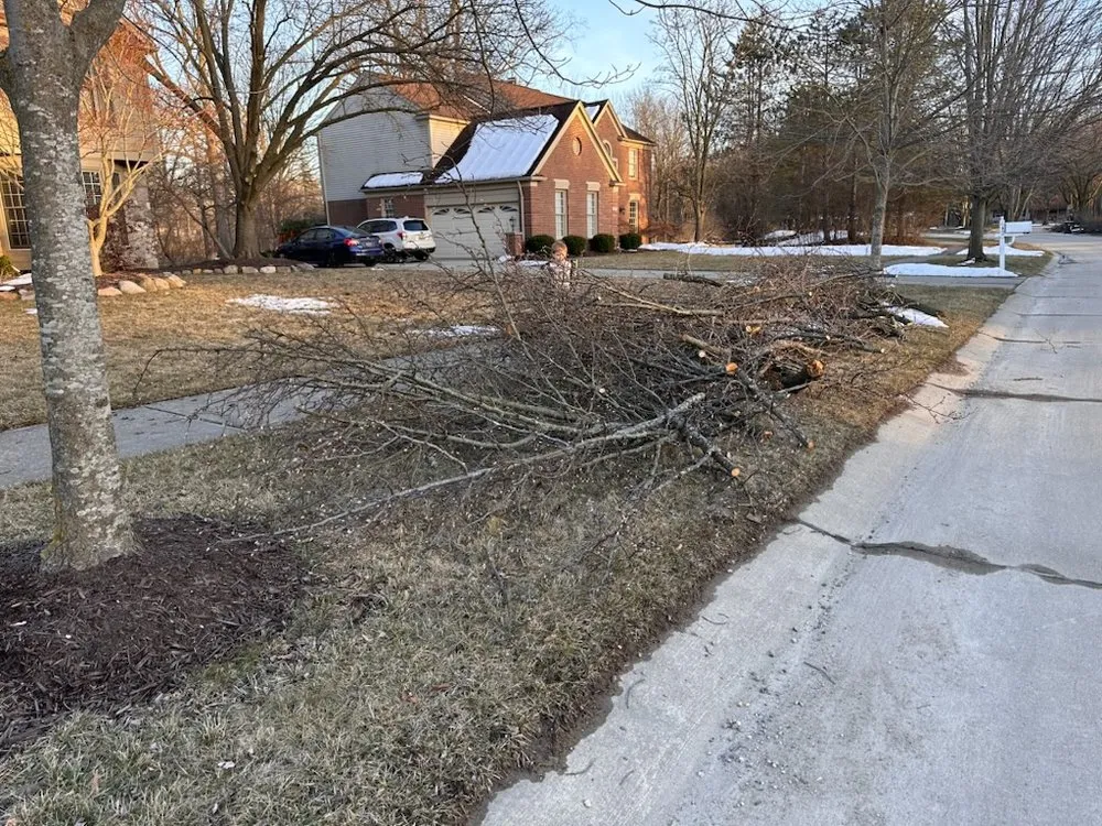 Professional yard cleanup service in Milford, MI - Original D&L Tree Service