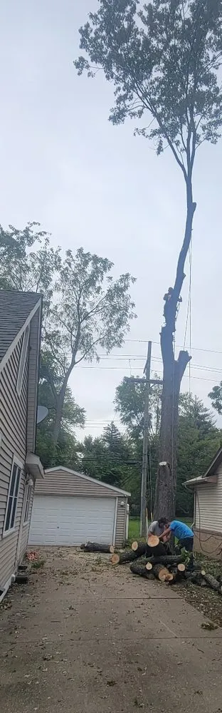 Affordable lawn mowing service for residential properties across Milford, MI - Original D&L Tree Service