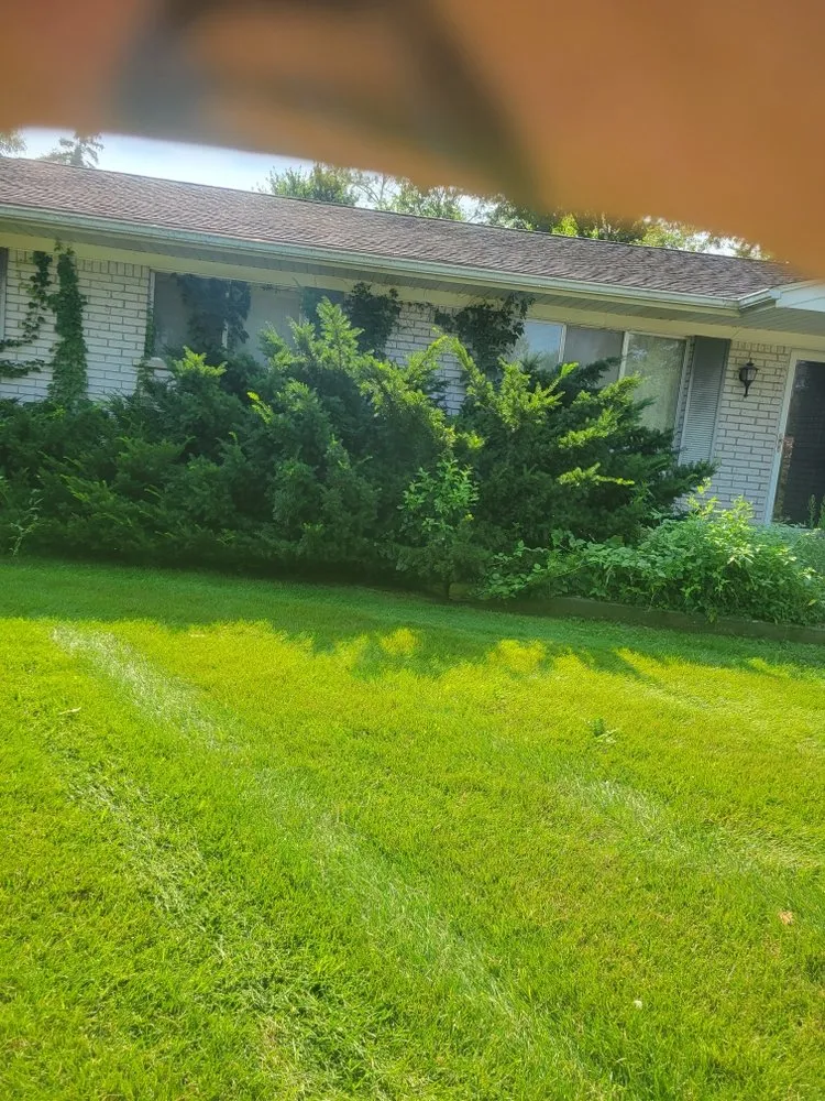 Top-rated landscape design in Milford, MI - Original D&L Tree Service