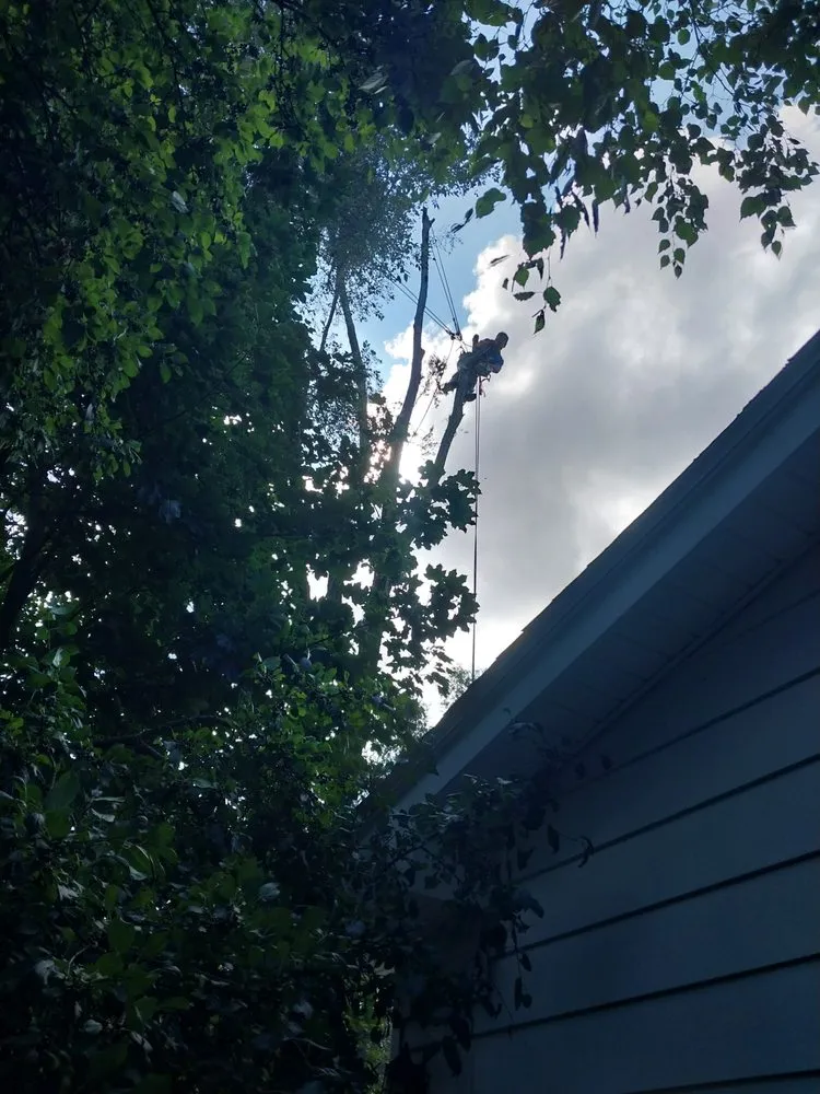 Trusted landscape installation for residential properties across Milford, MI - Original D&L Tree Service