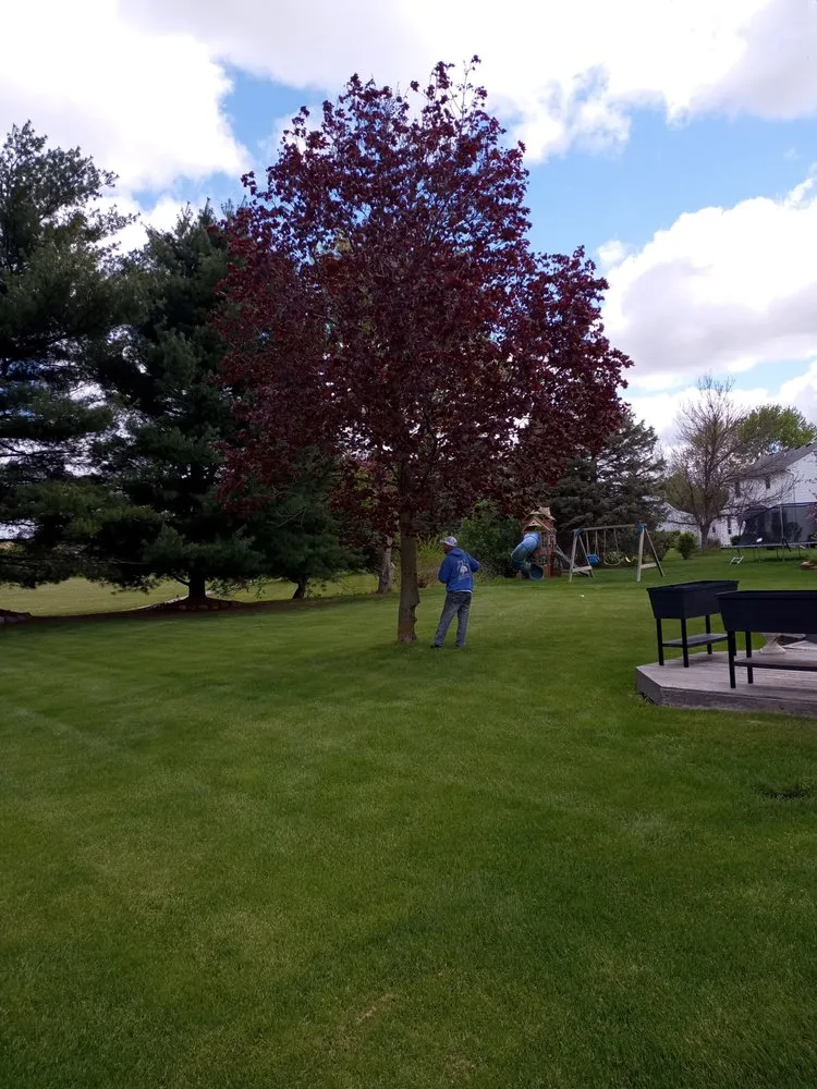 Custom landscape design experts serving Milford, MI - Original D&L Tree Service