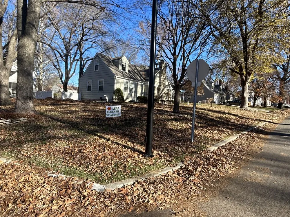 Professional landscape design for beautiful yards across Kansas City, KS - Original Lawn Care