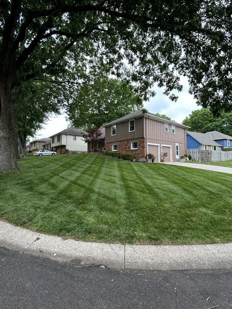 Expert yard cleanup service in Kansas City, KS by Original Lawn Care