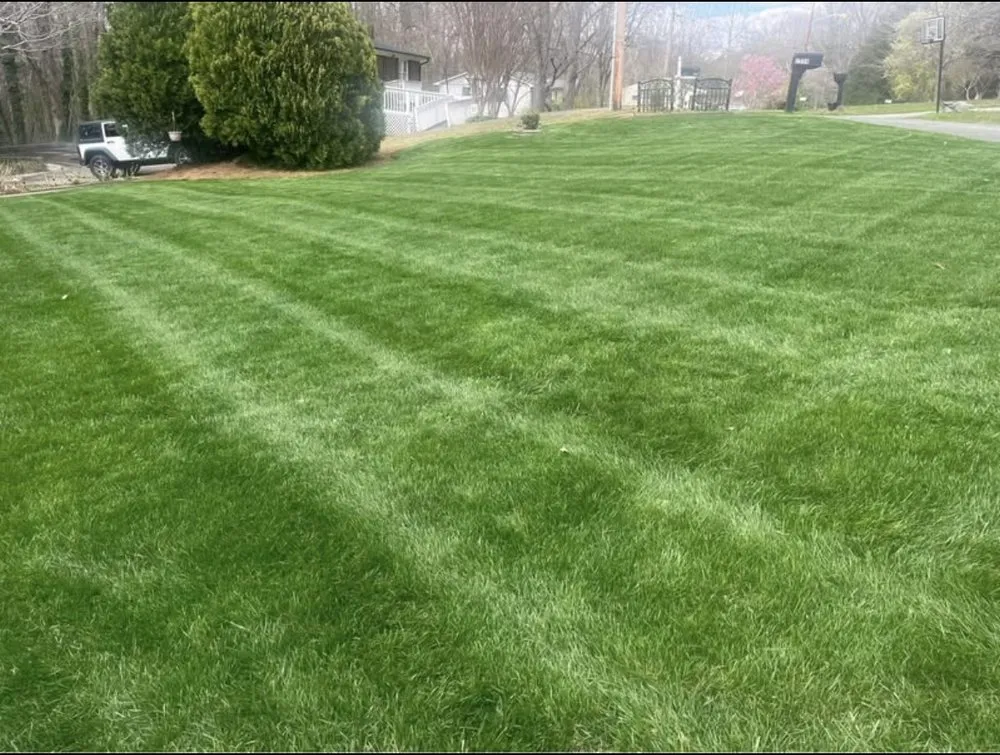 Top-rated landscape installation in Gastonia, NC by Original Lawncare