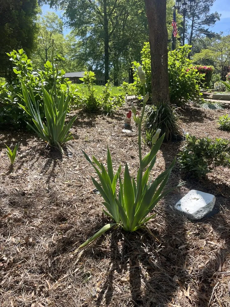 Expert landscape design in Gastonia, NC - Original Lawncare