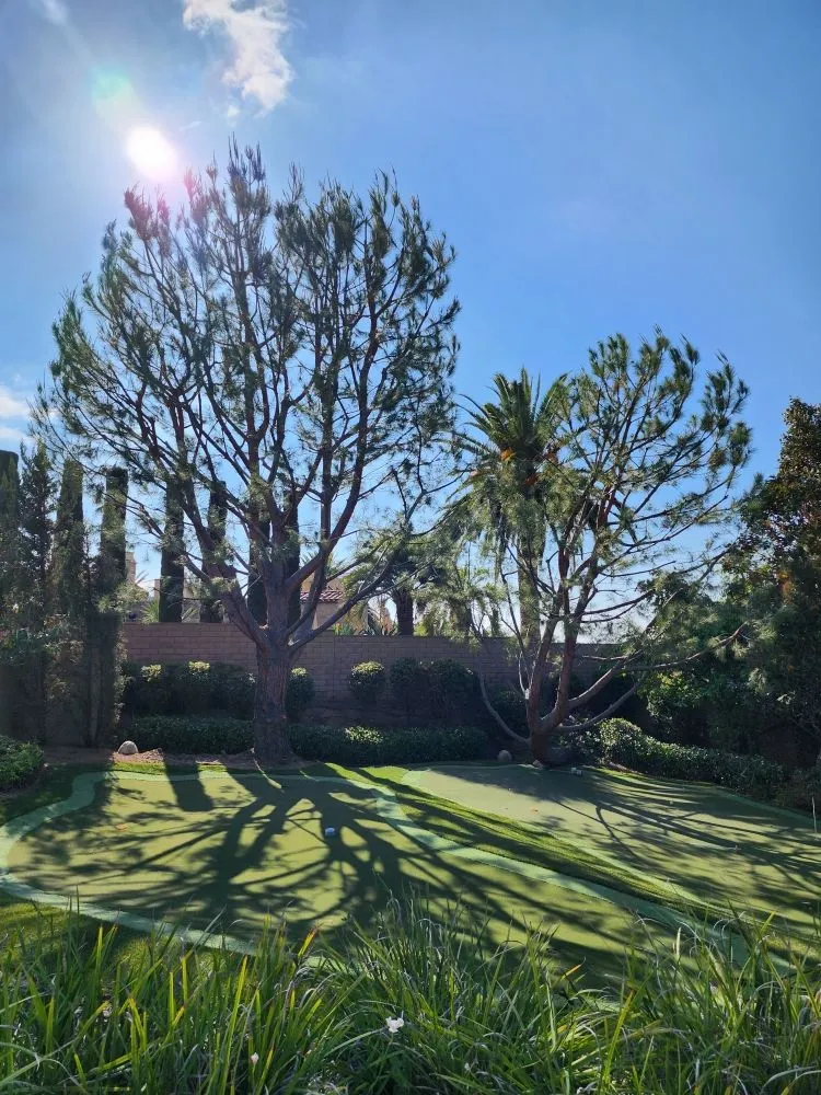 Custom outdoor landscaping for year-round maintenance across Corona, CA - Original Mejia Landscaping