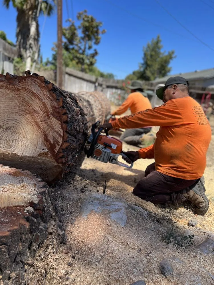 Local residential landscaping experts serving Corona, CA - Original Mejia Landscaping