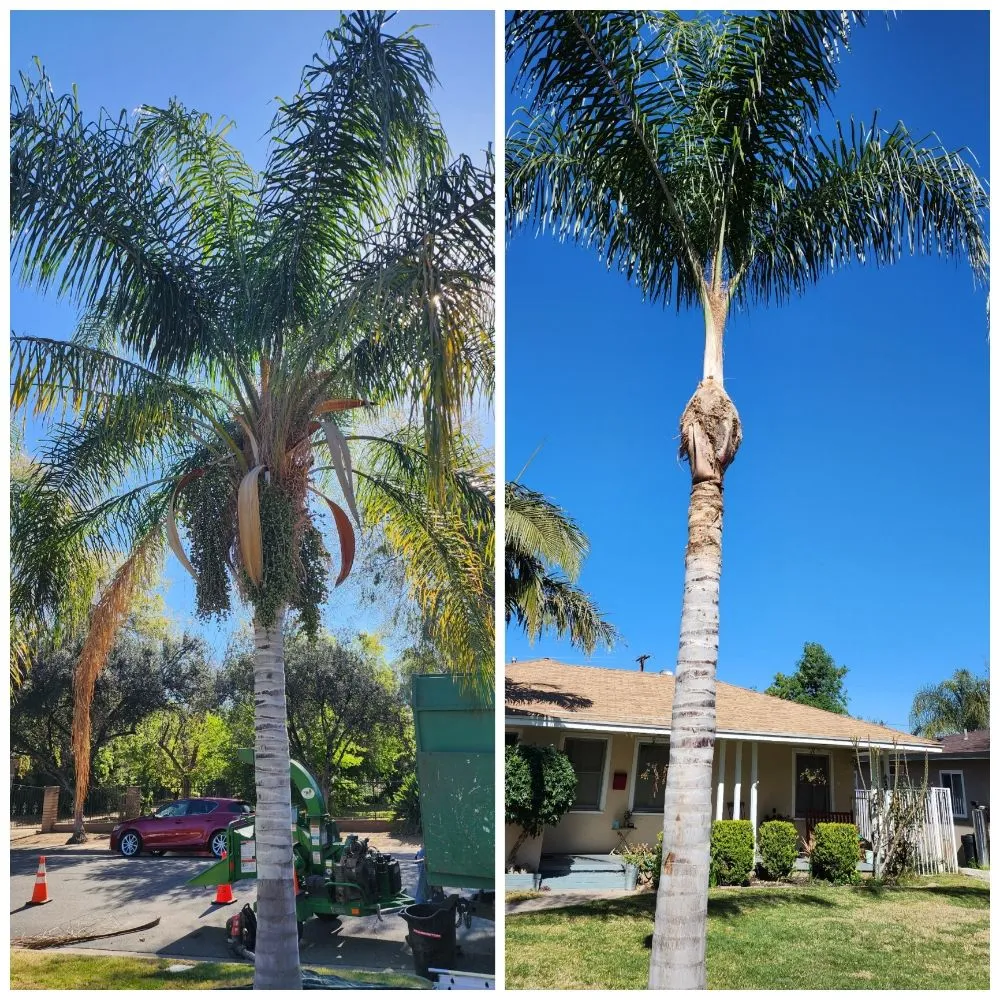 Custom landscape installation for beautiful yards in Corona, CA by Original Mejia Landscaping