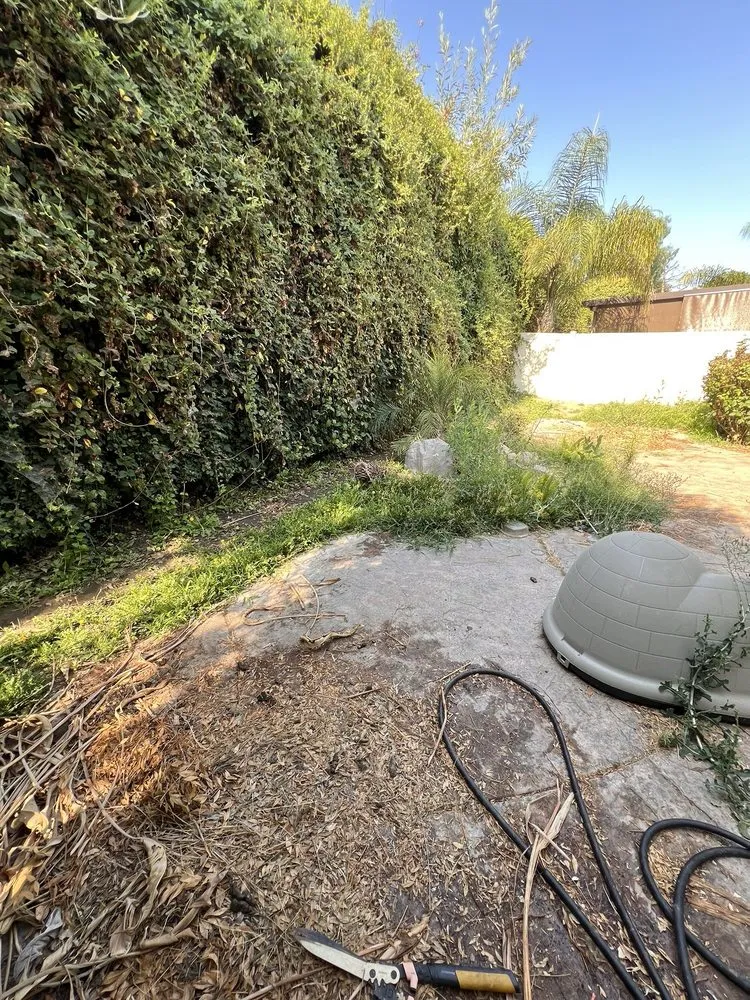 Trusted lawn care service with custom design across Corona, CA - Original Mejia Landscaping