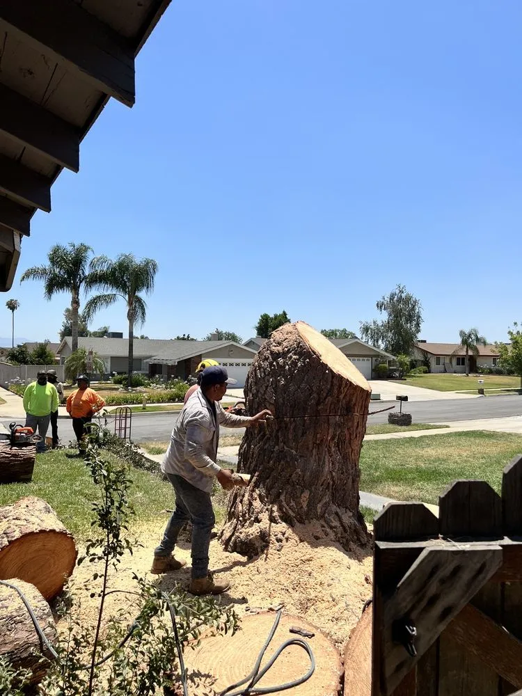 Top-rated residential landscaping in Corona, CA - Original Mejia Landscaping