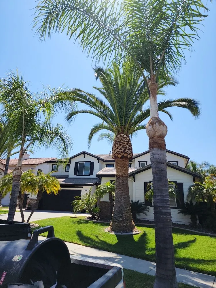 Expert landscaping services in Corona, CA - Original Mejia Landscaping