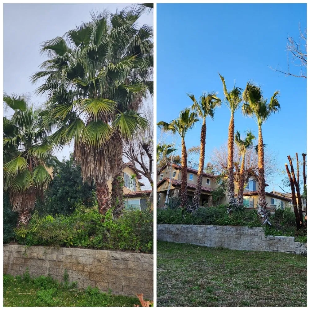 Affordable garden landscaping in Corona, CA - Original Mejia Landscaping