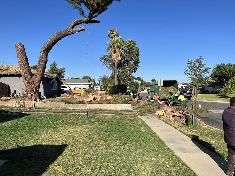 Professional lawn mowing service experts serving Corona, CA - Original Mejia Landscaping