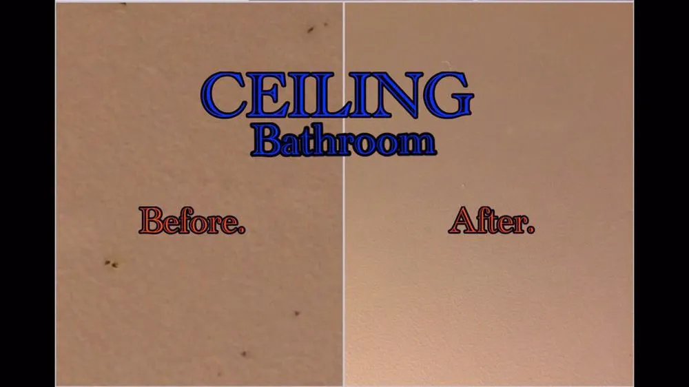 Expert yard maintenance in Mountain View, CA by Original Orkopina Cleaning Service