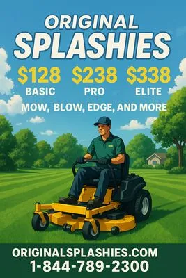 Original Splashies Logo