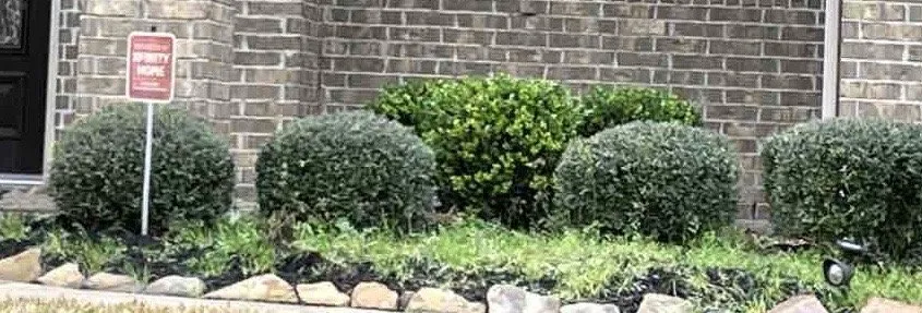 Affordable garden landscaping for beautiful yards across Houston, TX - Original Synthetics