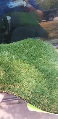 Original Synthetics Logo