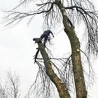 Affordable residential landscaping experts serving Wadsworth, IL - Original Tony's Landscaping & Firewood