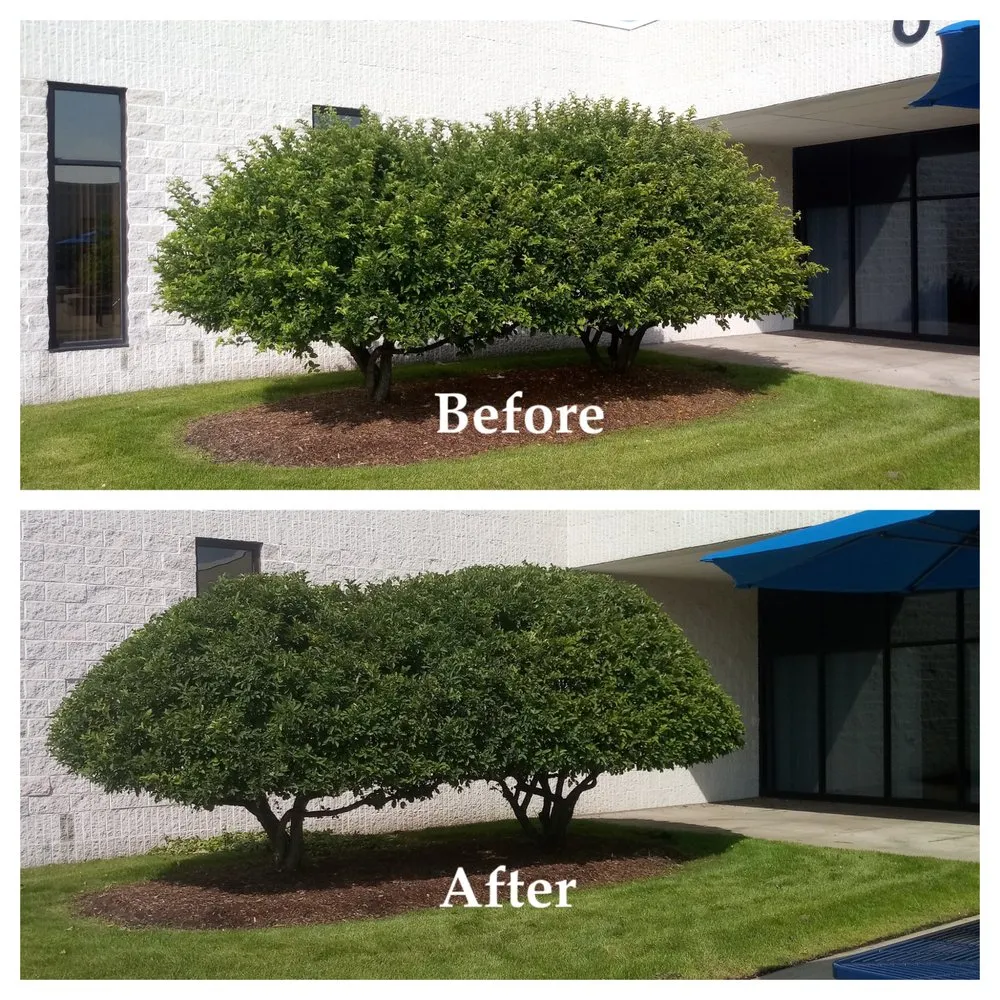 Expert lawn mowing service in Orion Township, MI by Orion Lawn