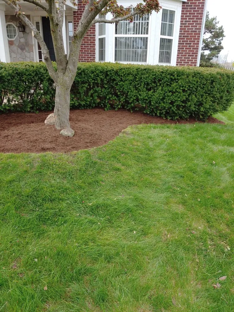 Professional yard cleanup service in Orion Township, MI by Orion Lawn