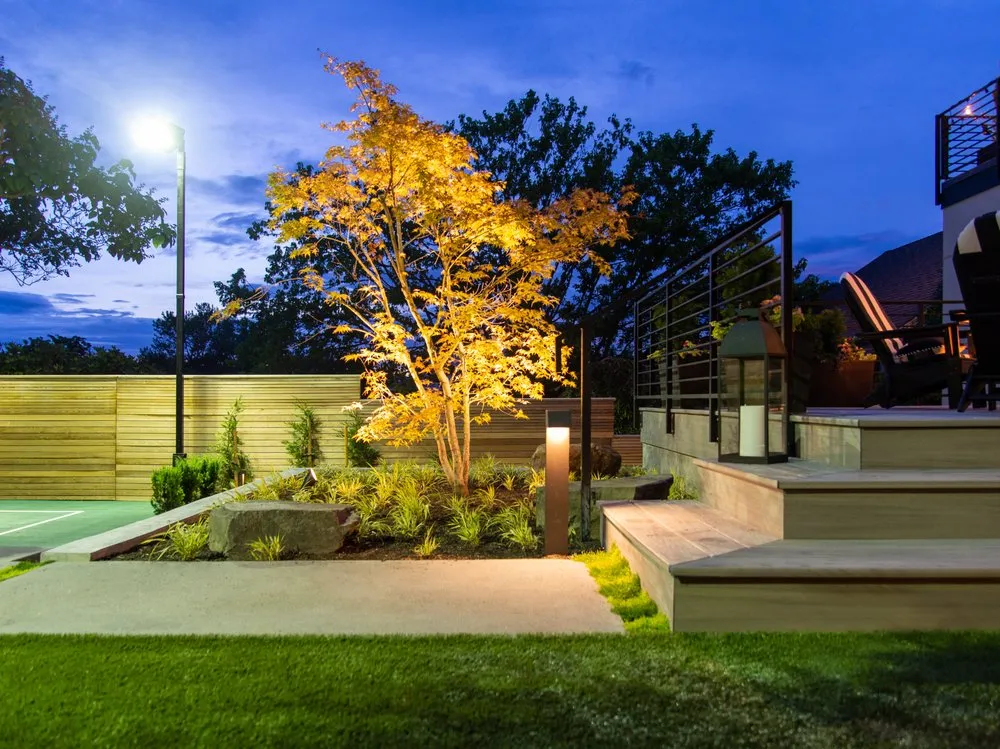 Top-rated yard cleanup service in Seattle, WA - Orion Rockscapes