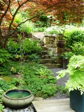 Reliable yard maintenance experts serving Seattle, WA - Orion Rockscapes