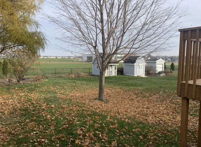 Reliable lawn care service for year-round maintenance in Cedar Rapids, IA by Orion's Odd Jobs