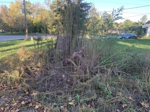 Custom yard maintenance for outdoor upgrades in Cedar Rapids, IA by Orion's Odd Jobs