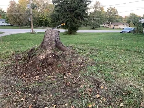 Local lawn care service experts serving Cedar Rapids, IA - Orion's Odd Jobs