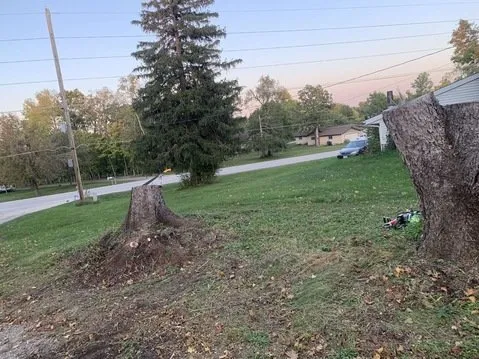 Custom lawn mowing service in Cedar Rapids, IA - Orion's Odd Jobs