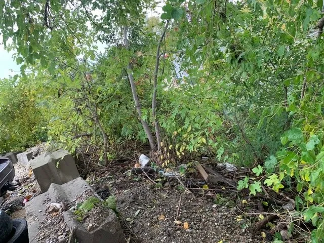 Professional yard maintenance experts serving Cedar Rapids, IA - Orion's Odd Jobs