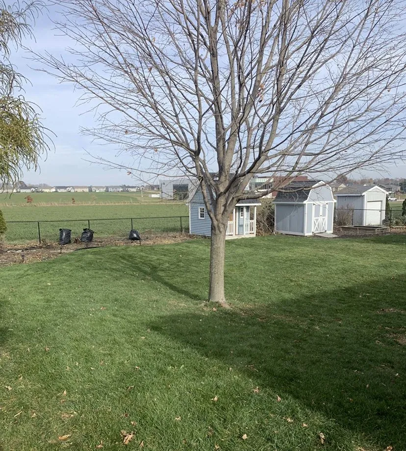 Professional landscaping services in Cedar Rapids, IA - Orion's Odd Jobs