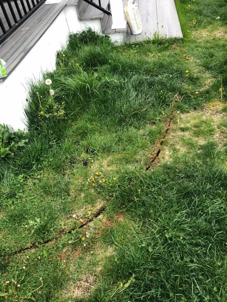 Custom yard cleanup service in Plainfield, IL - Orizaba's Landscaping