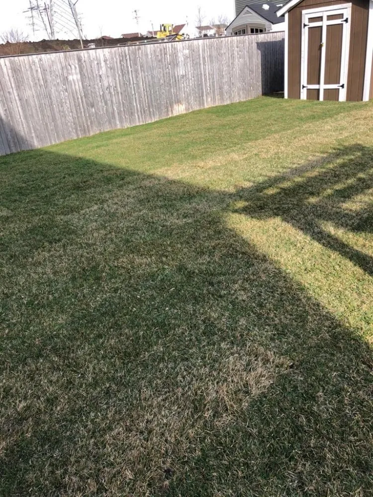 Top-rated landscape design for residential properties across Plainfield, IL - Orizaba's Landscaping